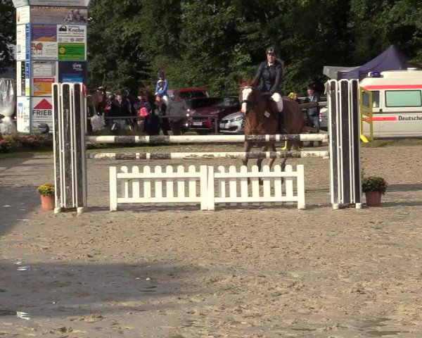 Reitturnier Meinerzhagen 2017