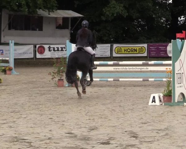 Reitturnier Meinerzhagen 2017