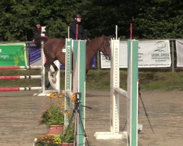 Reitturnier Meinerzhagen 2017