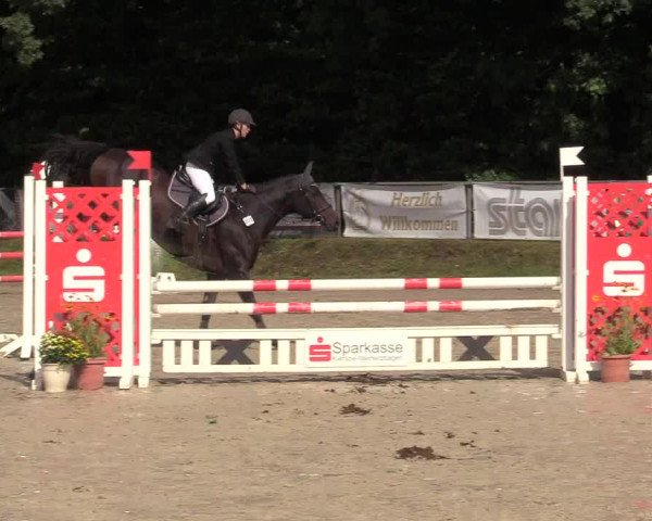Reitturnier Meinerzhagen 2017