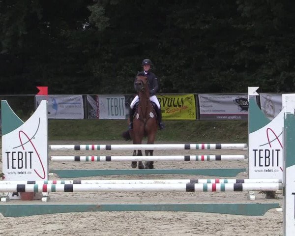 Reitturnier Meinerzhagen 2017