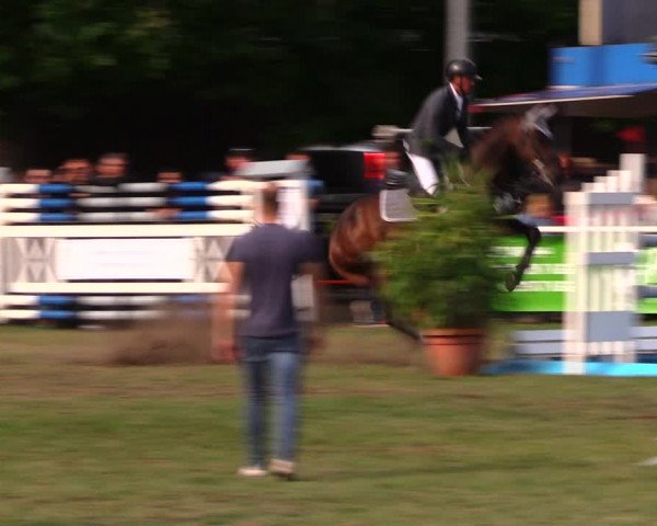Reitturnier Münchehofe 2017
