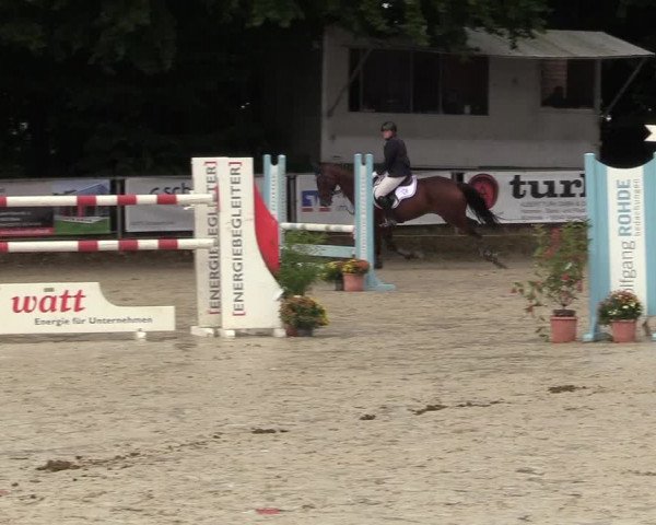 Reitturnier Meinerzhagen 2017