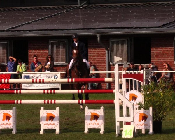 Reitturnier Münchehofe 2017