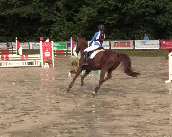 Reitturnier Meinerzhagen 2017