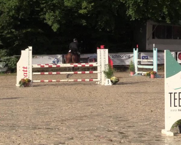 Reitturnier Meinerzhagen 2017