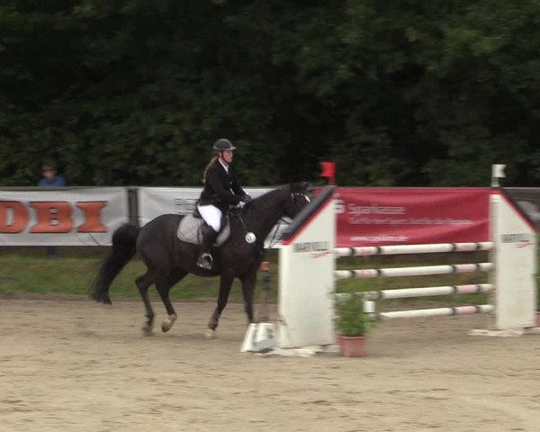 Reitturnier Meinerzhagen 2017