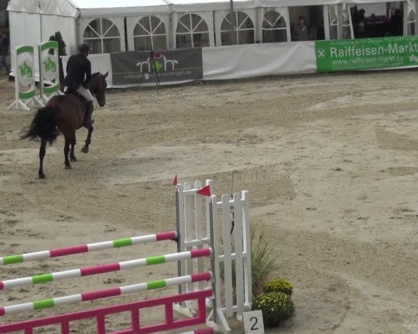 Reitturnier Leichlingen-Witzhelden 2017