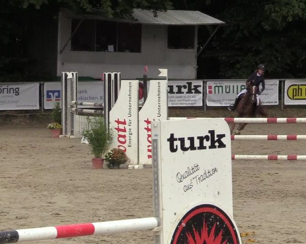 Reitturnier Meinerzhagen 2017