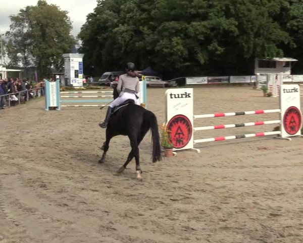 Reitturnier Meinerzhagen 2017