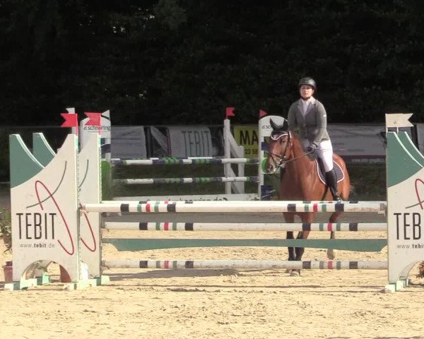 Reitturnier Meinerzhagen 2017