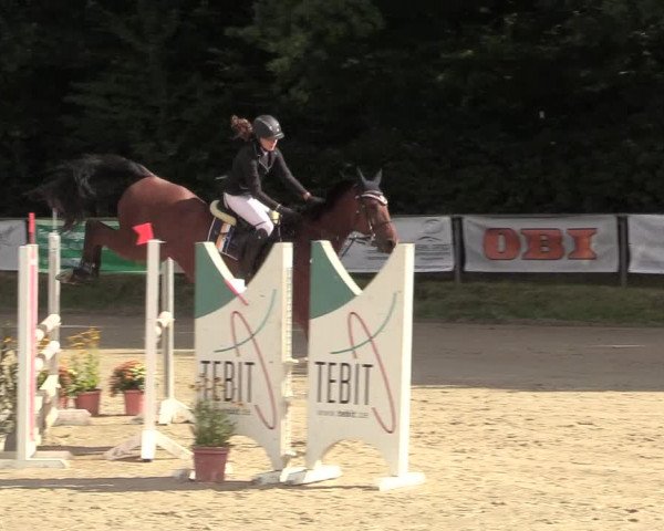 Reitturnier Meinerzhagen 2017