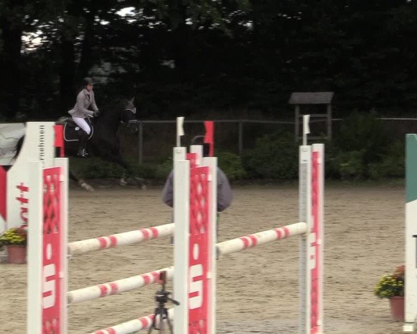 Reitturnier Meinerzhagen 2017