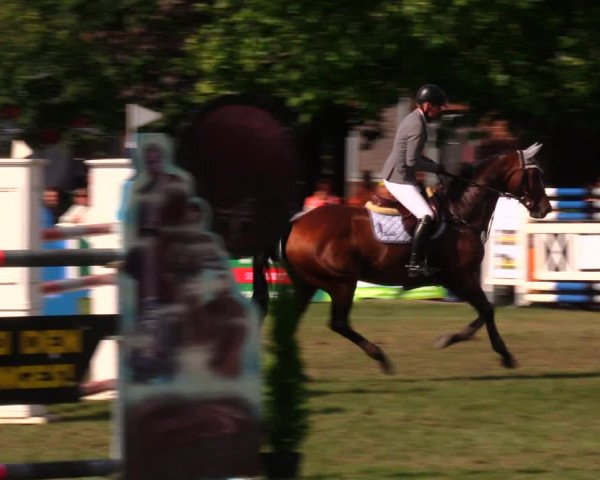 Reitturnier Münchehofe 2017