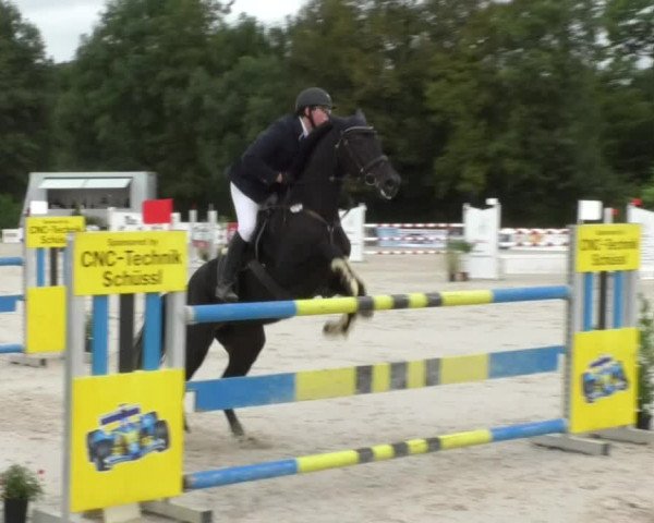 Reitturnier Öpfingen 2017