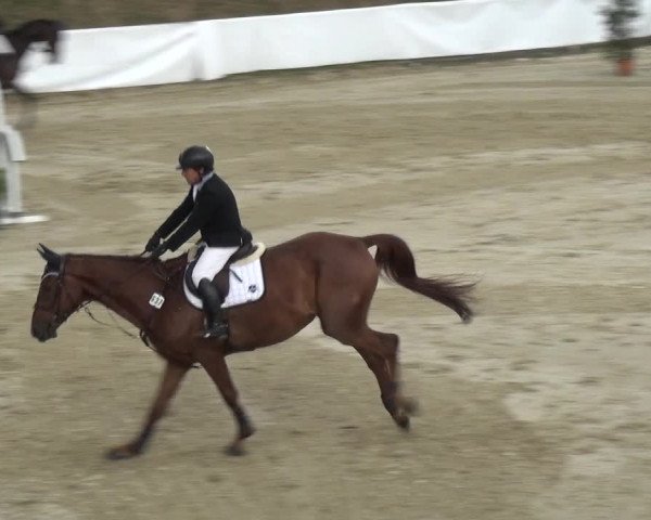 Reitturnier Leichlingen-Witzhelden 2017
