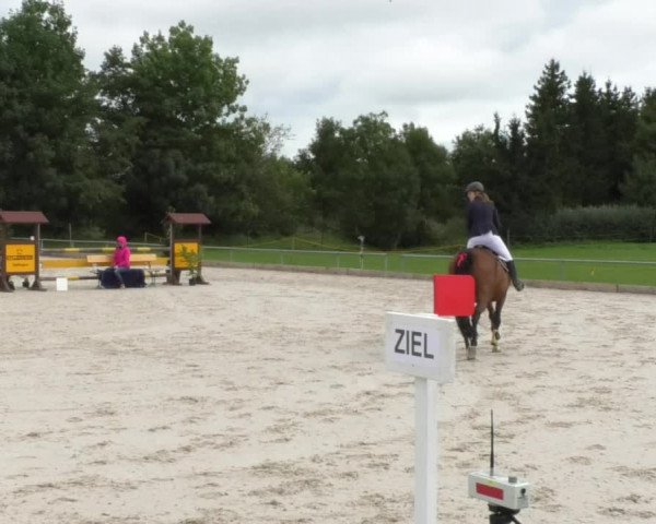Reitturnier Öpfingen 2017