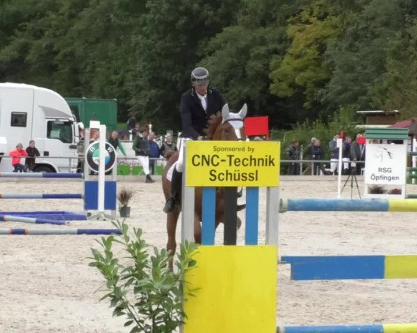 Reitturnier Öpfingen 2017