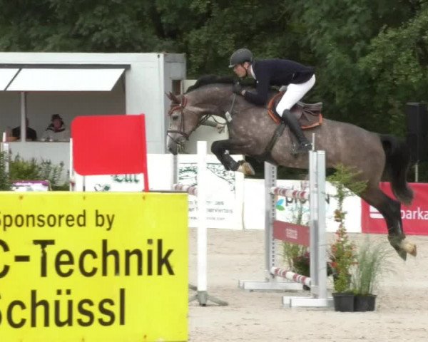 Reitturnier Öpfingen 2017