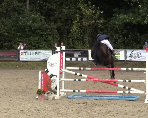 Reitturnier Meinerzhagen 2017