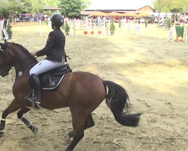 Reitturnier Walldorf/Winterheck 2017