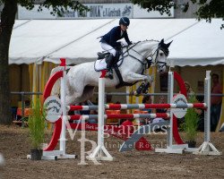 jumper Unicorn 13 (Westphalian, 2011, from Untouched)