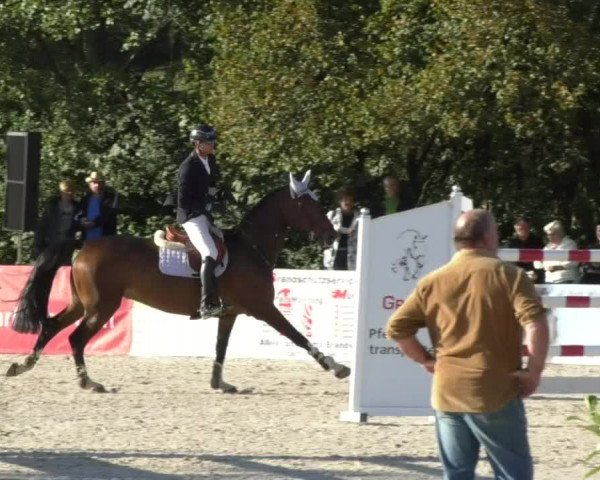 Reitturnier Öpfingen 2017