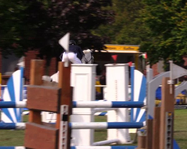 Reitturnier Münchehofe 2017