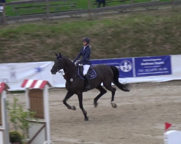 Reitturnier Leichlingen-Witzhelden 2017