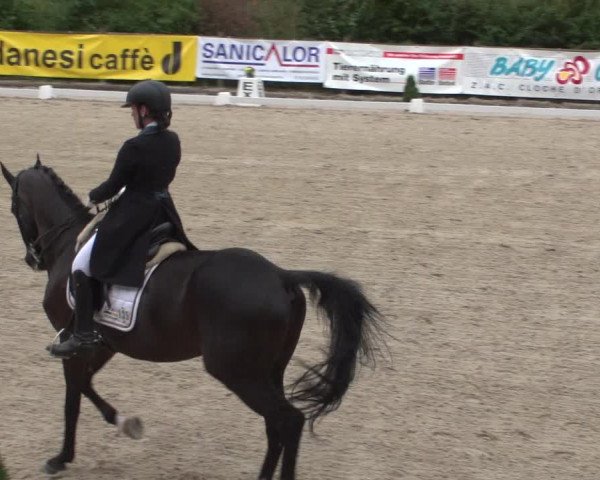 Reitturnier Hünsdorf-Ecurie Josy Hoffmann 2017