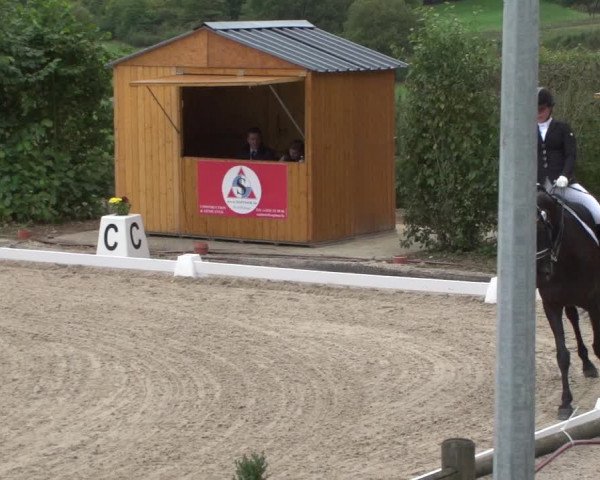 Reitturnier Hünsdorf-Ecurie Josy Hoffmann 2017