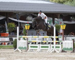 broodmare Dorabella 7 (Holsteiner, 2011, from Castelan 3)