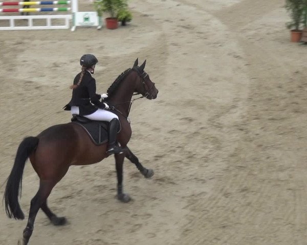 Reitturnier Leichlingen-Witzhelden 2017