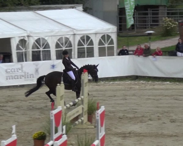 Reitturnier Leichlingen-Witzhelden 2017