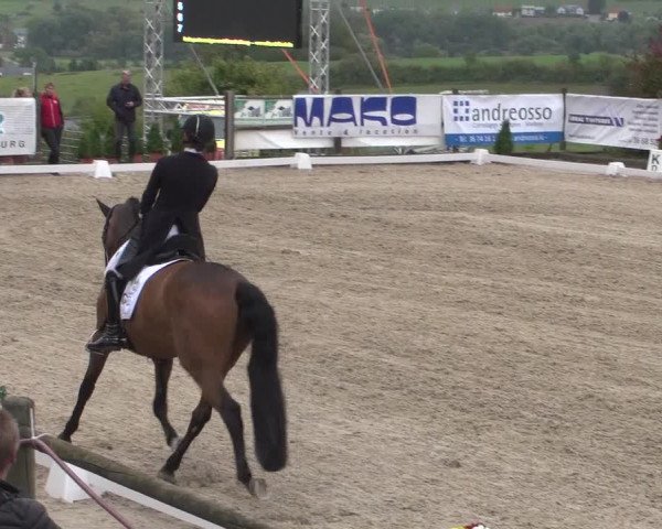Reitturnier Hünsdorf-Ecurie Josy Hoffmann 2017