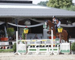 Zuchtstute C-Loona NRW (Westfale, 2011, von Cornet's Stern)