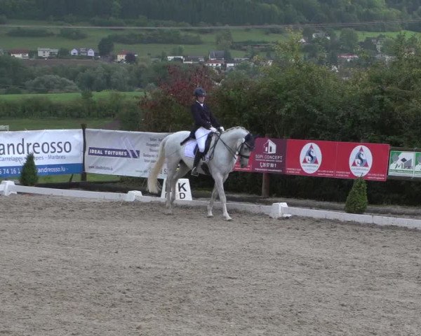 Reitturnier Hünsdorf-Ecurie Josy Hoffmann 2017
