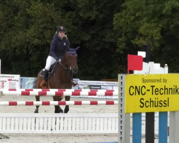 Reitturnier Öpfingen 2017