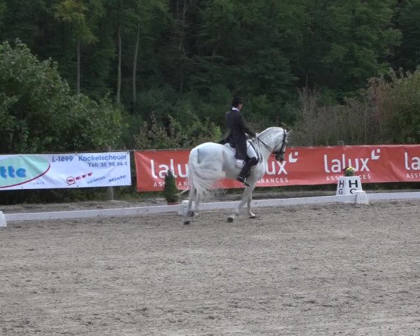 Reitturnier Hünsdorf-Ecurie Josy Hoffmann 2017