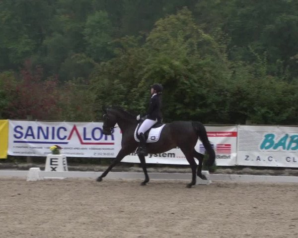Reitturnier Hünsdorf-Ecurie Josy Hoffmann 2017