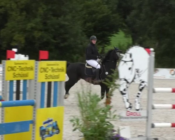 Reitturnier Öpfingen 2017