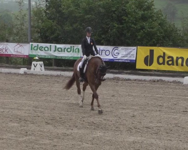 Reitturnier Hünsdorf-Ecurie Josy Hoffmann 2017