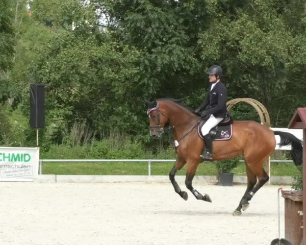 Reitturnier Öpfingen 2017