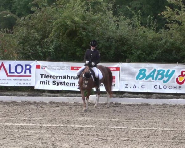 Reitturnier Hünsdorf-Ecurie Josy Hoffmann 2017