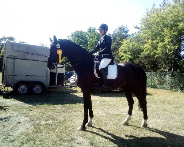 dressage horse Ravallo 28 (Hanoverian, 2008, from Rascalino)
