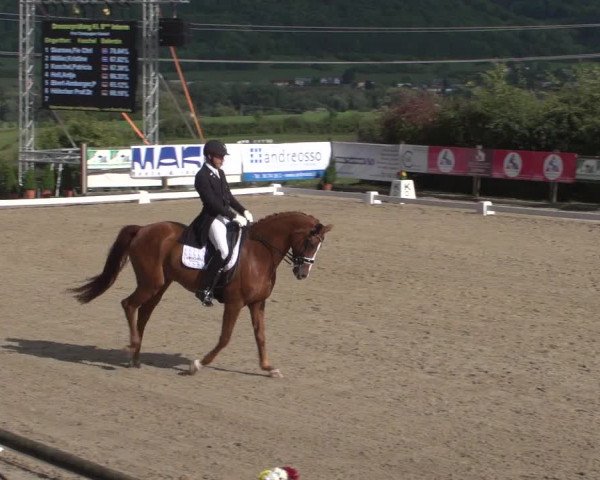 Reitturnier Hünsdorf-Ecurie Josy Hoffmann 2017