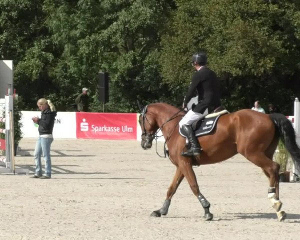 Reitturnier Öpfingen 2017