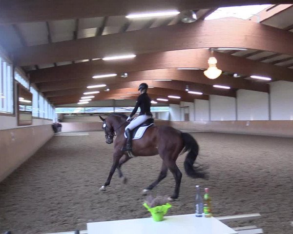 Reitturnier Gut Hohenkamp / Dorsten 2017