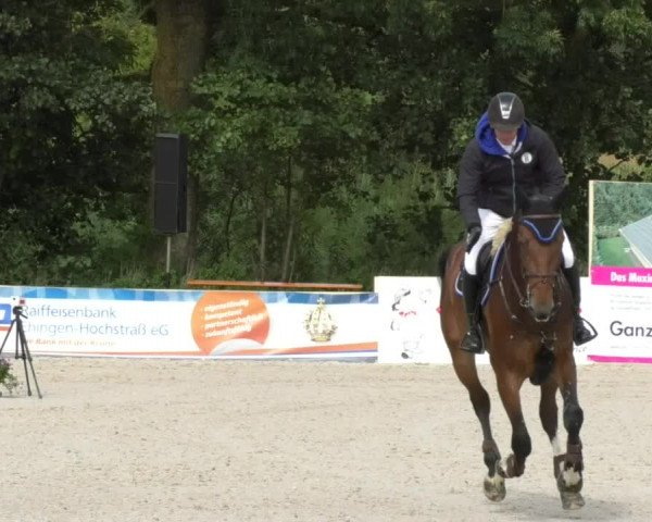 Reitturnier Öpfingen 2017