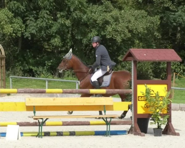 Reitturnier Öpfingen 2017
